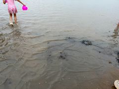 -在海一方公园