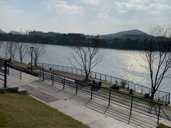 -羊山湖公园