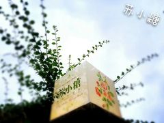 -苏小糖(鼓浪屿三丘田花园店)