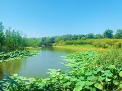 -同里国家湿地公园