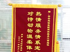 -安安宠医·普外科·内科·心超(佛山同济分院)