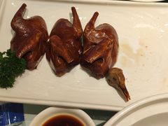 -皇朝尊会(龙之梦大酒店)