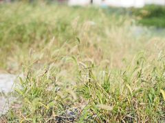 -东钱湖旅游度假区