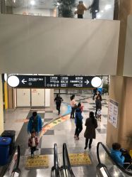 -上海交通大学医学院附属上海儿童医学中心(陆家嘴总院区)