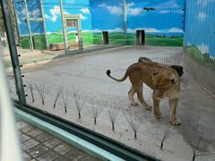 -保定市动物园