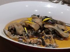 -圆苑(静安寺店)