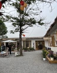 -DORA kids 朵拉儿童摄影花园店