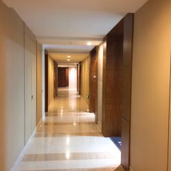 -scarlet斯卡莱美容护理机构