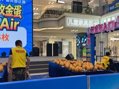 -红星美凯龙北京至尊MALL(东四环中路店)