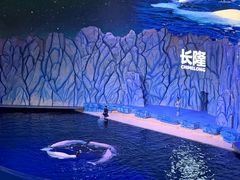 -珠海长隆海洋王国