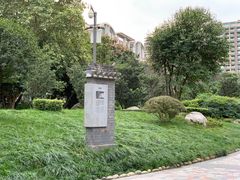 -神仙树公园