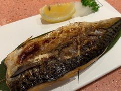 -元气寿司(金光华店)