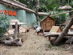 -深圳野生动物园