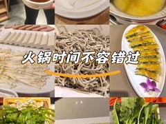 -蝎王府羊蝎子(西直门店)