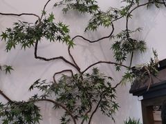 -耳艺采耳·足疗·按摩SPA(市桥店)