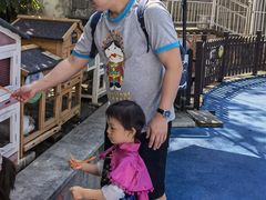 -上海崇明金茂凯悦酒店