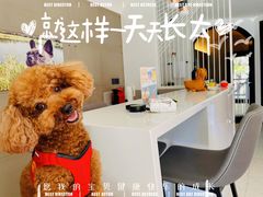 吧台区-太阳岛度假酒店