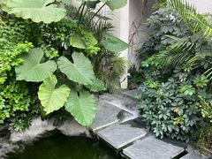 -漫笙舍Manse·咖啡·民宿