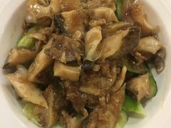 醋拌海螺-渔娘渔家丹东海鲜(东直门店)