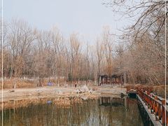 -云岗森林公园