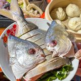 蘸点香油碟直接香迷糊了！- 鱼跃龙门