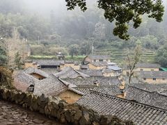 -杨家堂村