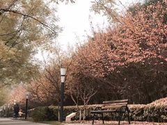 -城市运动公园(未央区)