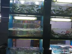 -全乐鱼馆·淳牌有机鱼直营店
