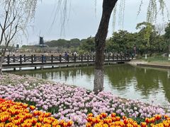 -上海鲜花港