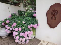 -悦哉·派对·草坪婚礼·围炉煮茶(三圣乡店)