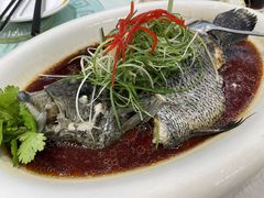 -金米箩大酒店(五角场店)