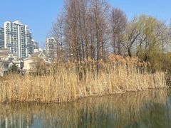 -白塘生态植物园