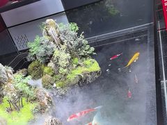 -唐河王记·南阳民间菜(国基路店)