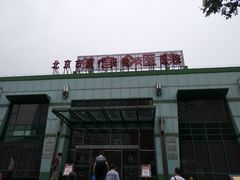 -北京市健宫医院