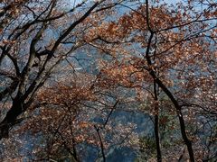 -终南山南五台景区