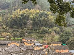 -杨家堂村