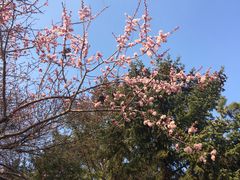 -吉林大学(南岭校区)