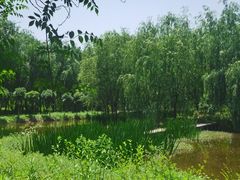 -同銮特种养殖场·龙虾垂钓