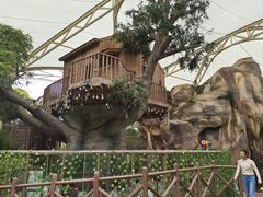 -杭州开元森泊度假乐园