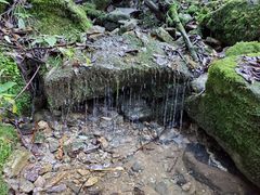 -西安祥峪森林公园