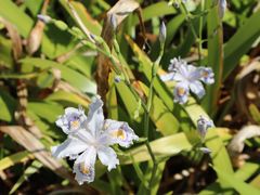 -仙海旅游度假区