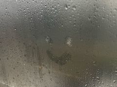 -苏州金鸡湖文博诺富特酒店