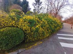 -石家庄市动物园