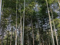 -南山风景名胜区