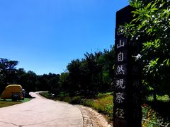 -北京西山国家森林公园