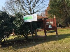 -上海海湾国家森林公园