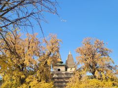 -北京石刻艺术博物馆(五塔寺)
