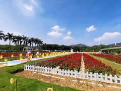 -盈香心动乐园