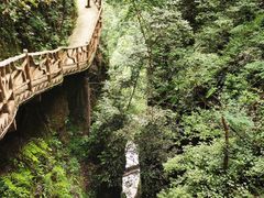 -鹿院坪生态旅游景区