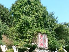 -广州白江湖森林公园